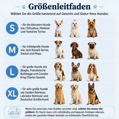 Delvence Kühlmatte (2 für 1)