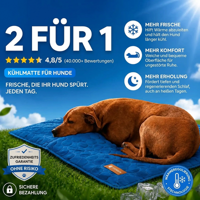 Delvence Kühlmatte (2 für 1)