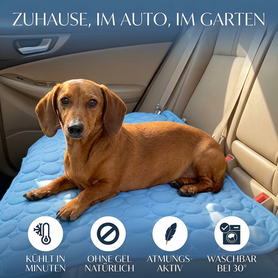 Delvence Kühlmatte (2 für 1)